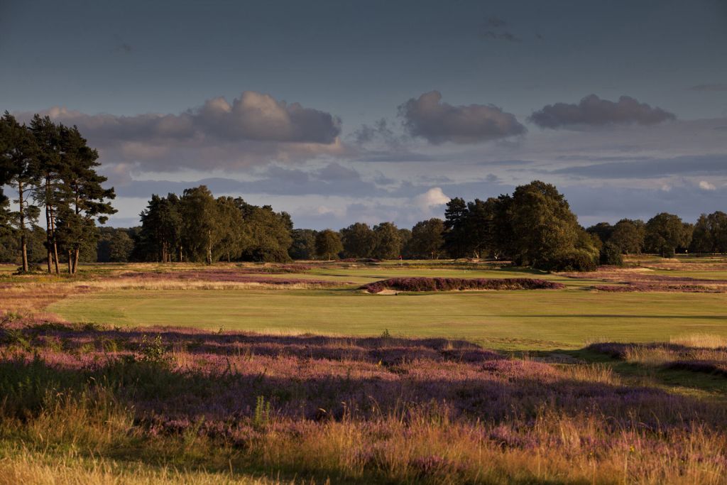 Walton Heath New